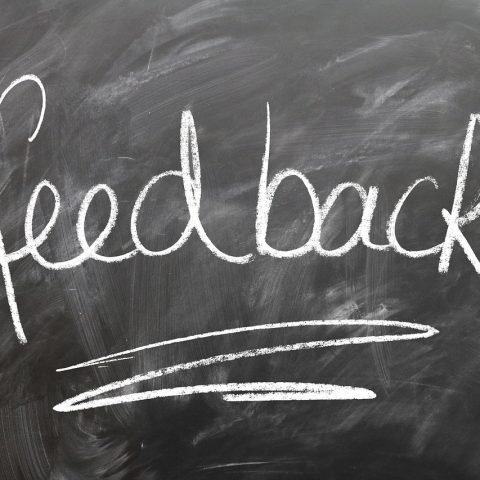 Chalkboard with the word "feedback" written on it.